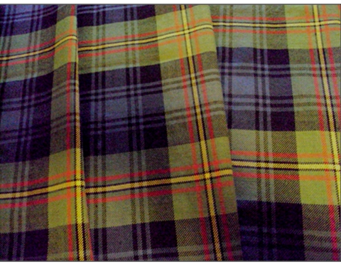 Clan Grant Scottish Velveteen Plush Blanket 